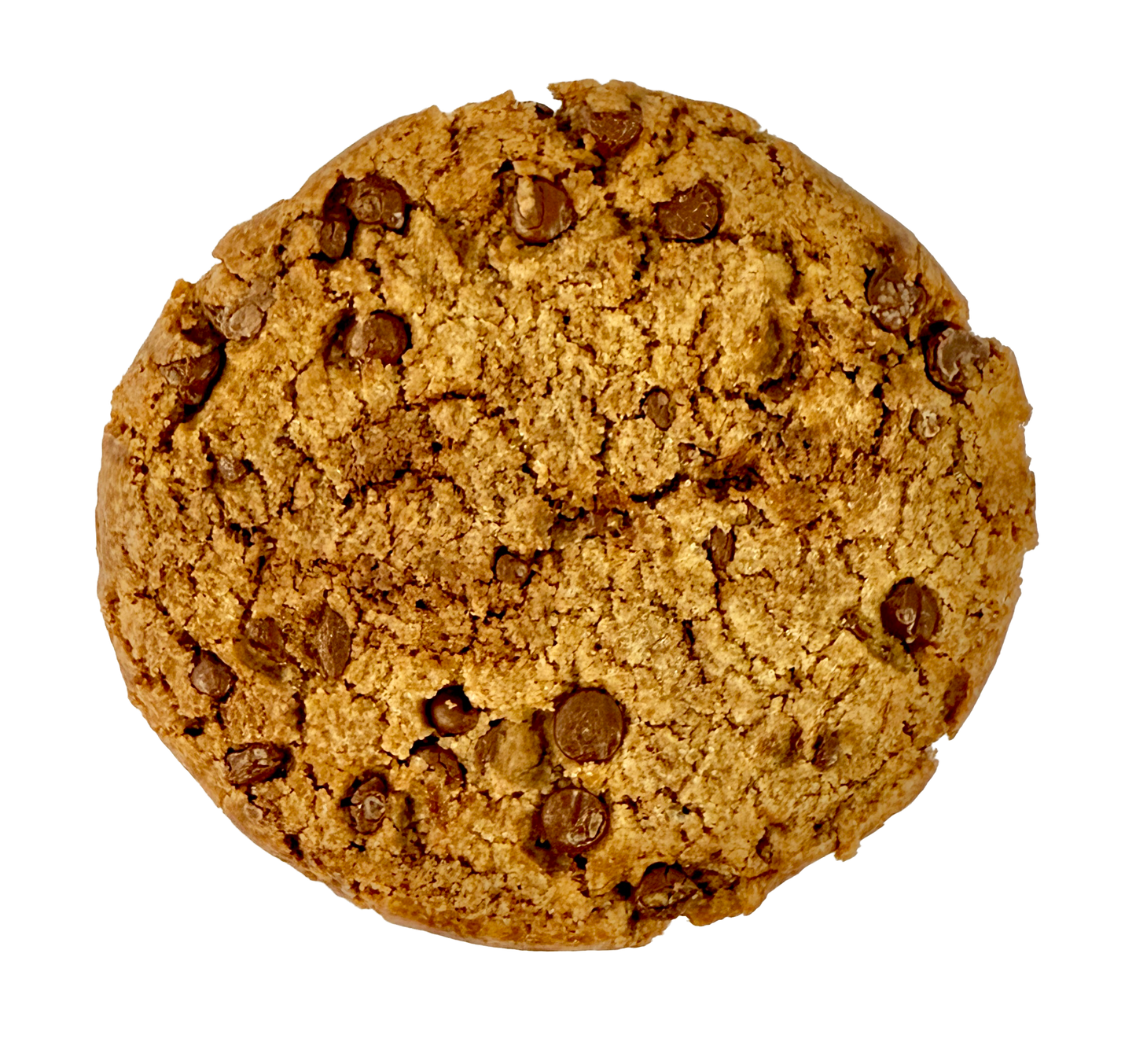 Vegan Chocolate Chip Cookies  - 12 count Retail Display Box